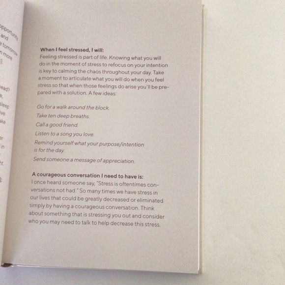 CHRONICLE BOOKS CALM THE CHAOS DAILY JOURNAL NWT - Picture 14 of 16